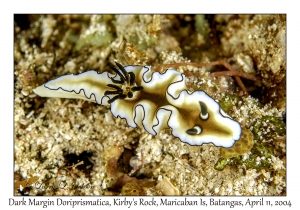 Dark Margin Doriprismatica