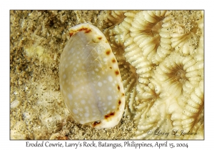 1173#0227 Unknown, Larry's Rock, Batangas, Philippines, April 15, 2004