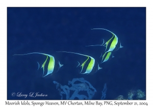 Moorish Idols
