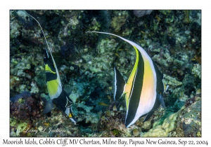Moorish Idols