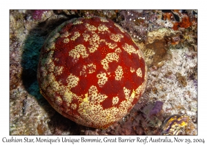 Cushion Star