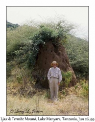 Ljax & Termite Mound