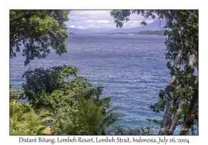 Distant Bitung