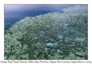 House Reef