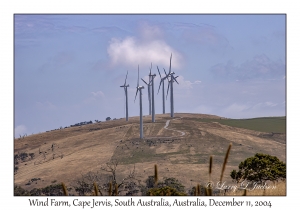 Wind Farm