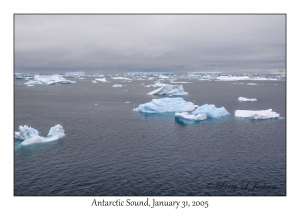 Antarctic Sound