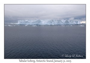 Tabular Iceberg