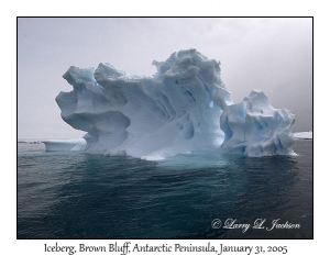 Brown Bluff Iceberg