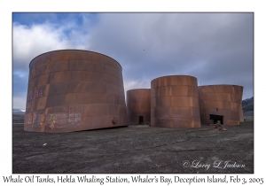 Whale Oil Tanks