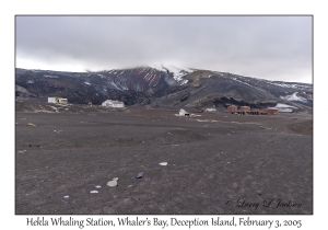 Hekla Whaling Station