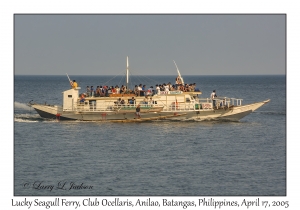 Lucky Seagull Ferry