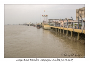 Guayas River & Docks