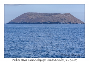 Daphne Mayor Island