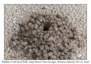 Bubbler Crab Sand Balls