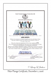 Polar Plunge Certificate
