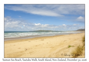 Tasman Sea Beach