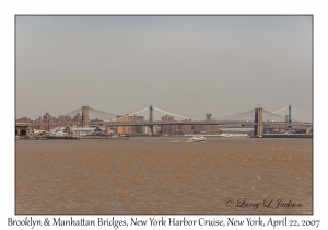 Brooklyn & Manhattan Bridges