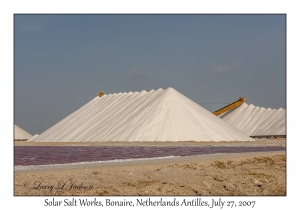 Solar Salt Works