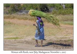 Woman Carrying Reeds