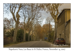 Napoleon's Trees