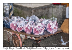Pacific Bluefin Tuna Heads