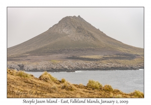 Steeple Jason Island - East