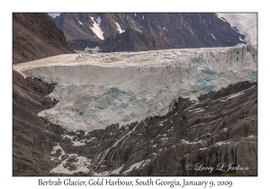 Bertrab Glacier