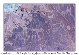 2000 to 6000 year old Petroglyphs