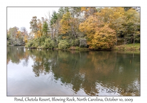 Pond