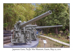 Japanese Guns