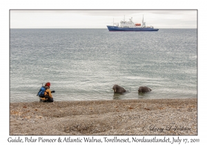 2011-07-17#4109 Guide, Polar Pioneer & Odobenus r rosmarus, Torellneset, Nordaustlandet, Svalbard, Norway