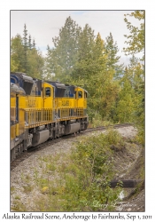 Alaska Railroad Scene