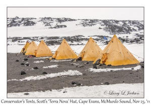 Conservator's Tents