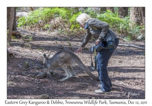 Debbie & Eastern Grey Kangaroo