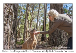 Debbie & Eastern Grey Kangaroo