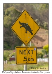Platypus Sign