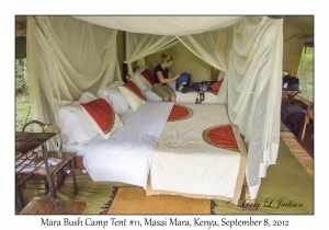 Mara Bush Camp Tent #11