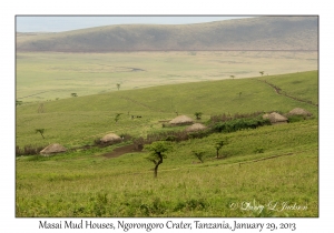 Masai Mud Houses