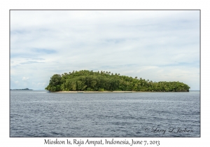 Mioskon Island