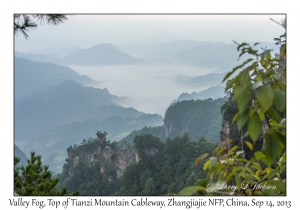 Valley Fog, Top of Tianzi Mountain Cableway
