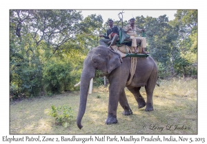 Elephant Patrol
