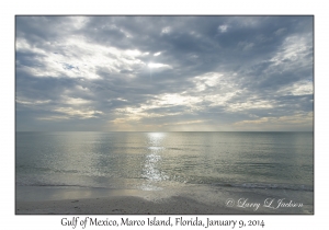 Gulf of Mexico