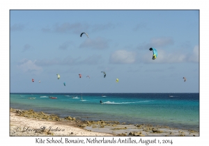 Kite School