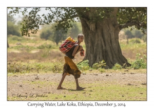 Carrying Water