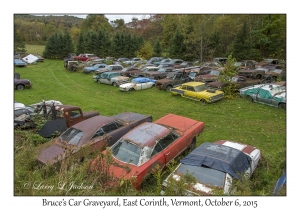 Bruce's Car Graveyard