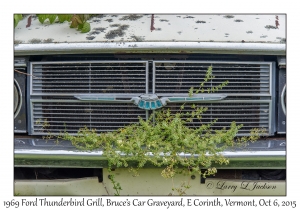 1969 Ford Thunderbird Grill