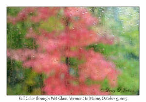 Fall Color through Wet Glass