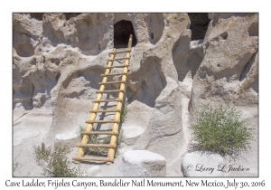 Cave Ladder