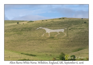 Alton Barns White Horse