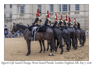 Queen's Life Guard Change
